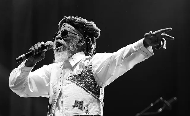 Bunny Wailer guitare : style roots, profondeur rythmique et comment jouer comme lui