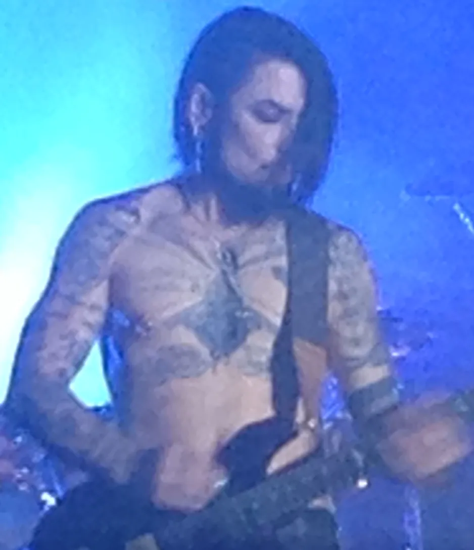 Dave Navarro guitare : noirceur, tension et parenthèse One Hot Minute
