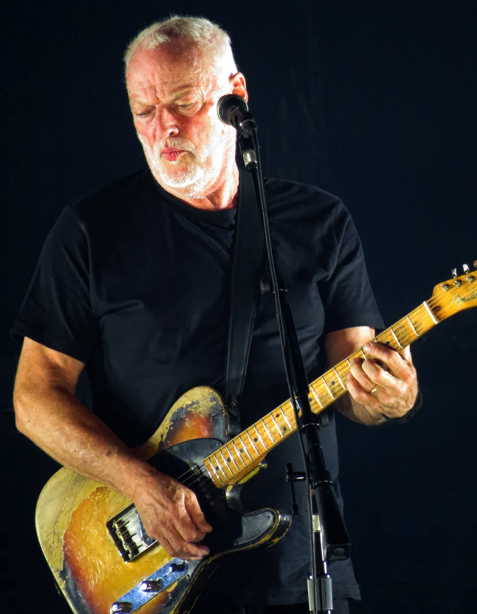 David Gilmour au Royal Albert Hall en 2015