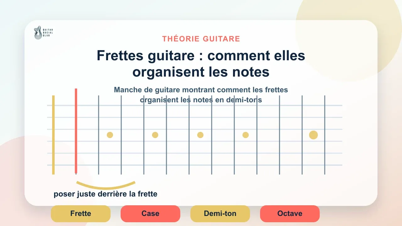 Manche de guitare montrant comment les frettes organisent les notes en demi-tons