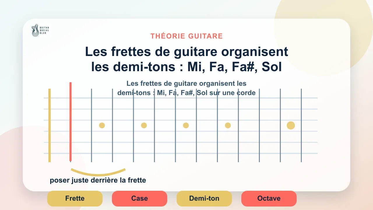 Les frettes de guitare organisent les demi-tons : Mi, Fa, Fa#, Sol sur une corde