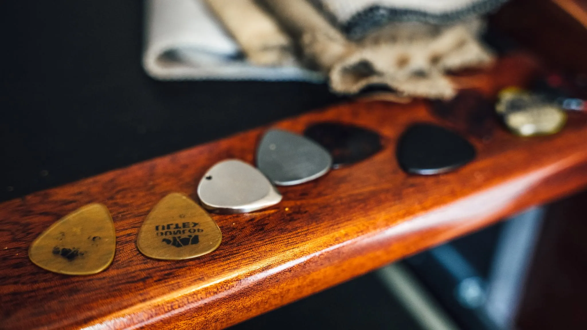 Médiators Guitar Social Club alignés sur un présentoir en bois
