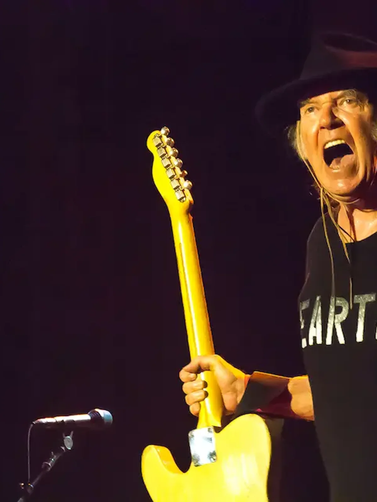 Visuel du morceau Heart of Gold - Neil Young avec niveau L2 Débutant dans le répertoire Guitar Social Club