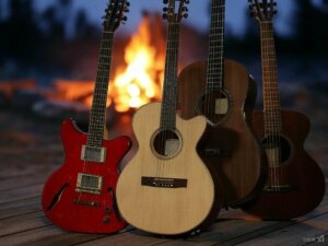 Présentation visuelle des différentes sortes de guitares : folk, classique, électrique, et basse.