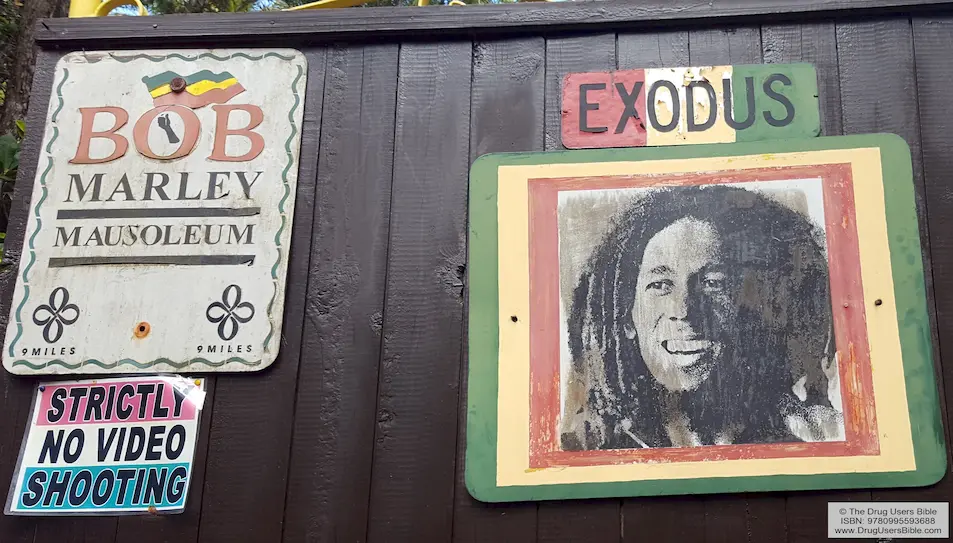 Guitare reggae inspirée par Bob Marley