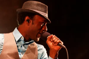 Optimiser toutes les images liées à Aloe Blacc et à I Need a Dollar avec alt text, titre, légende et description SEO.