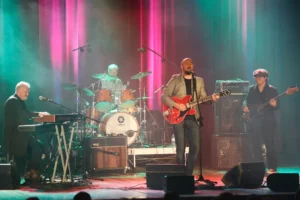 The Animals en concert en 2016, avec clavier, batterie, guitare et basse sur scène sous des éclairages colorés.