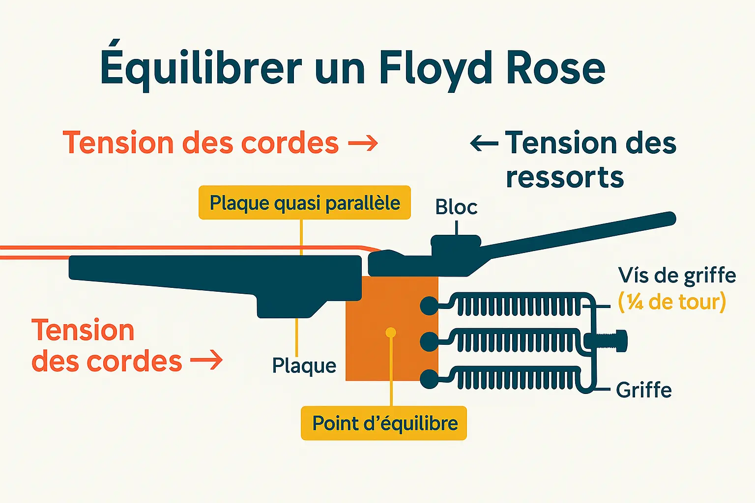Accorder une guitare avec Floyd Rose : vue d’ensemble du chevalet flottant et des molettes fine-tuners
